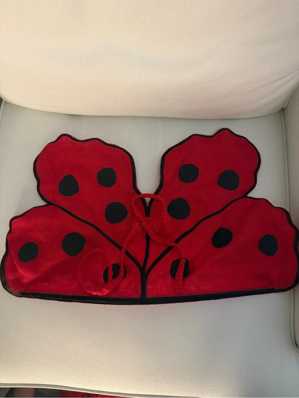 Stella McCartney Kids lady bug dress and wings